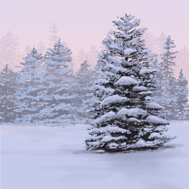 Winter_Pines